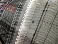 تۆیۆتا کامری